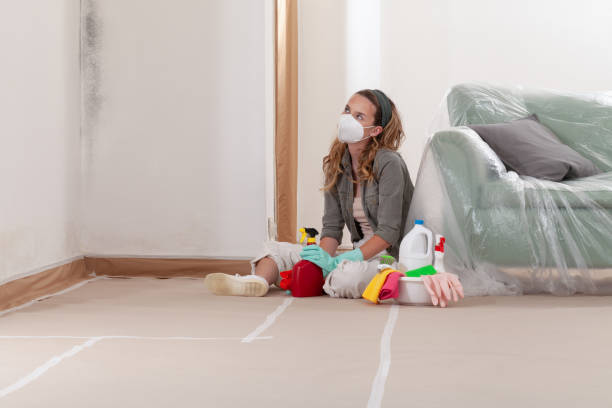 Reliable Mold Cleanup contractor in Oldsmar, FL by Cheap Mold Removal